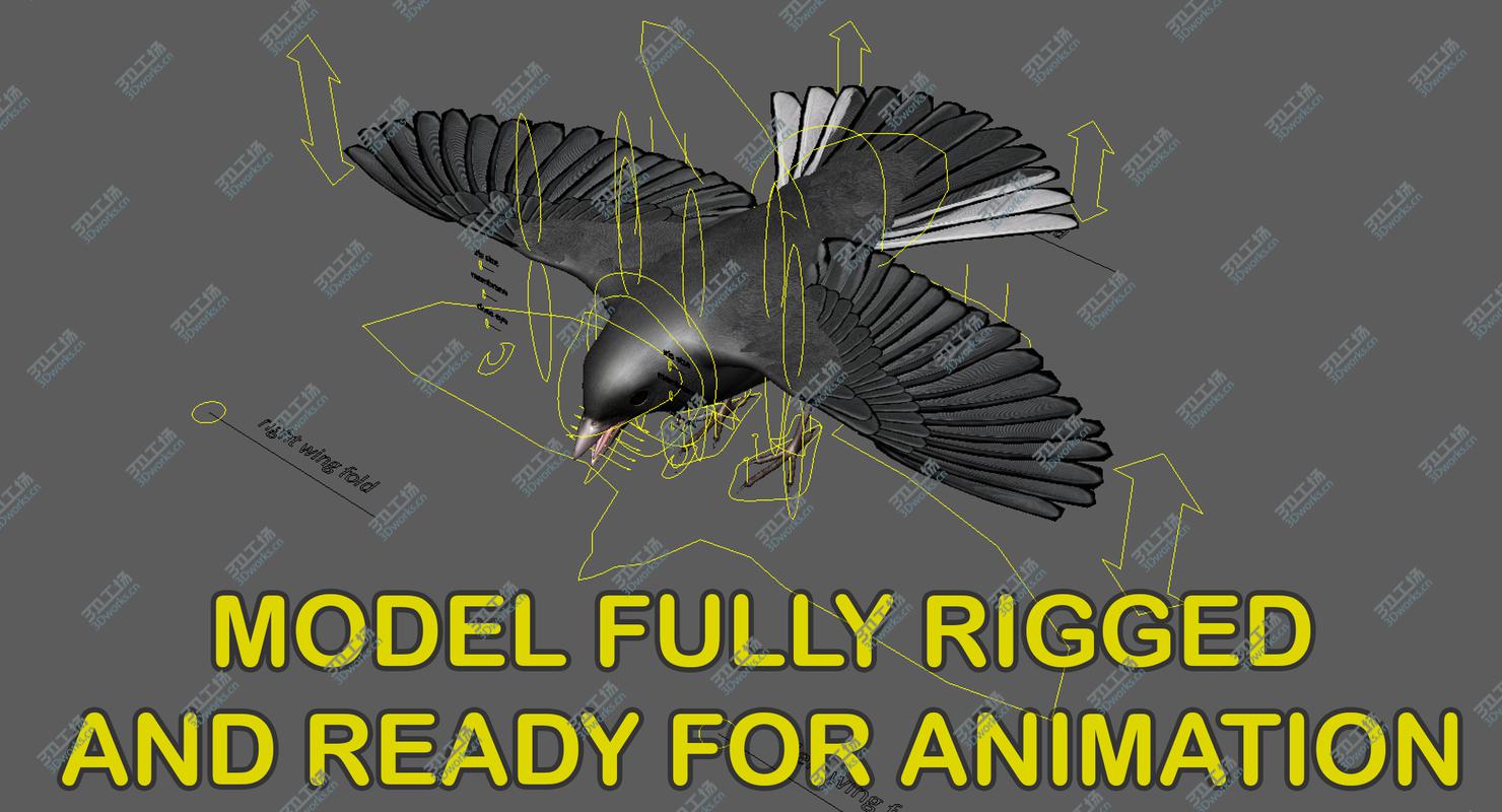 images/goods_img/202104022/Dark-eyed Junco (Animated) 3D model/3.jpg